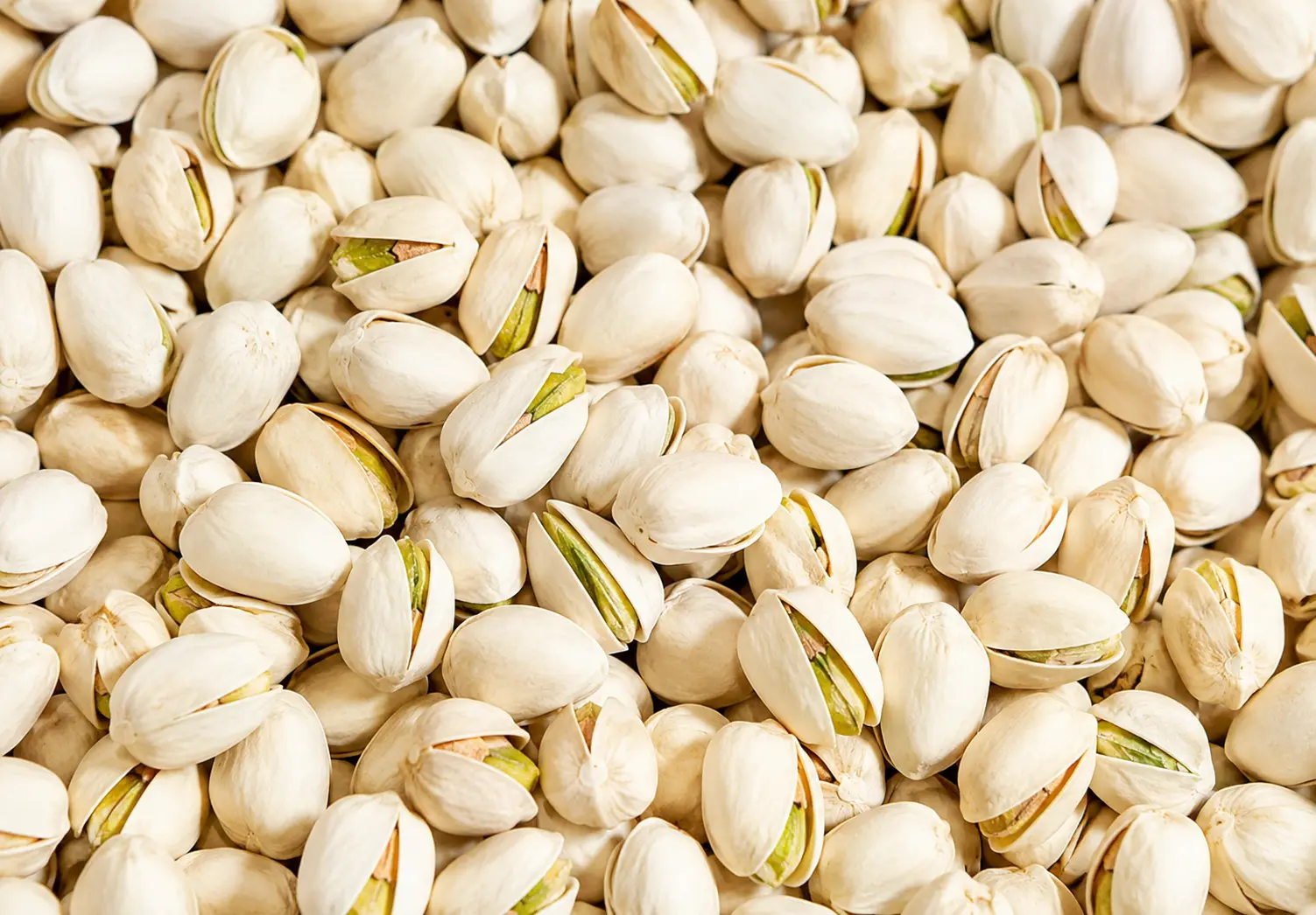 Pistacchi tostati